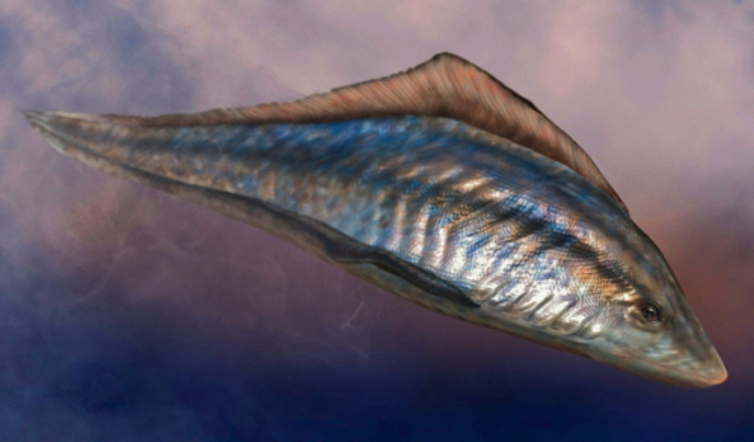 Primeros vertebrados
