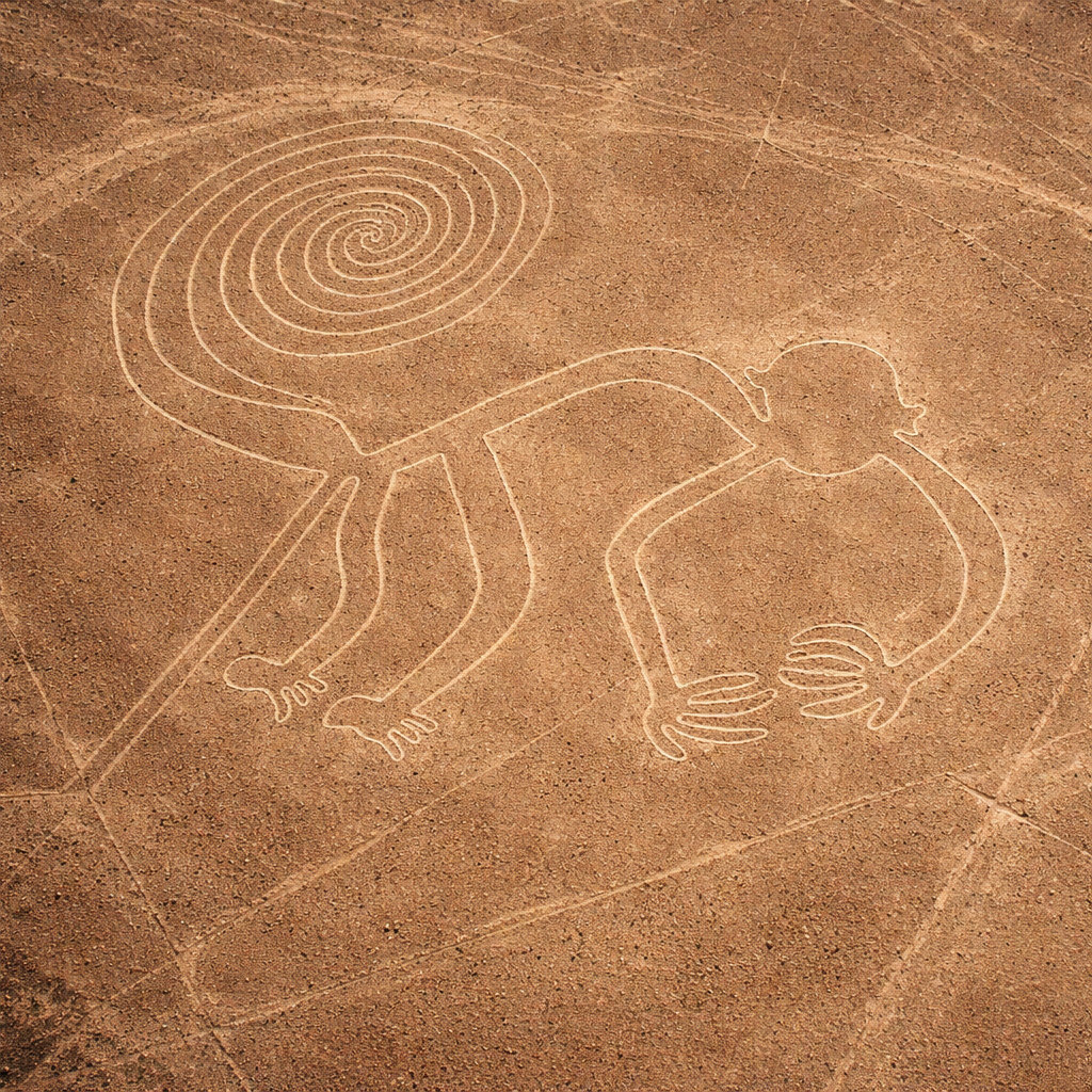 Vista aérea del geoglifo del mono de Nazca, figura monumental grabada en el desierto peruano con su característica cola en espiral.